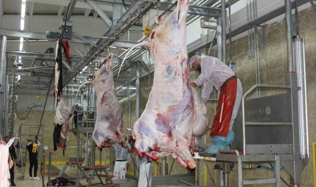 Erzincan&#039;da resmi veteriner hekimlik eğitimi veriliyor