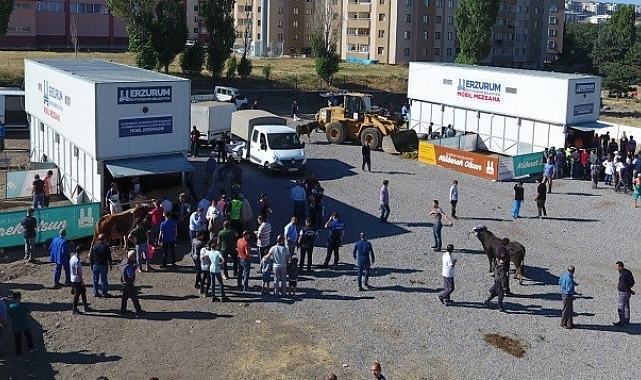 Erzurum&#039;da bu yıl büyükbaş hayvan kesim fiyatı 3 bin TL olarak belirlendi