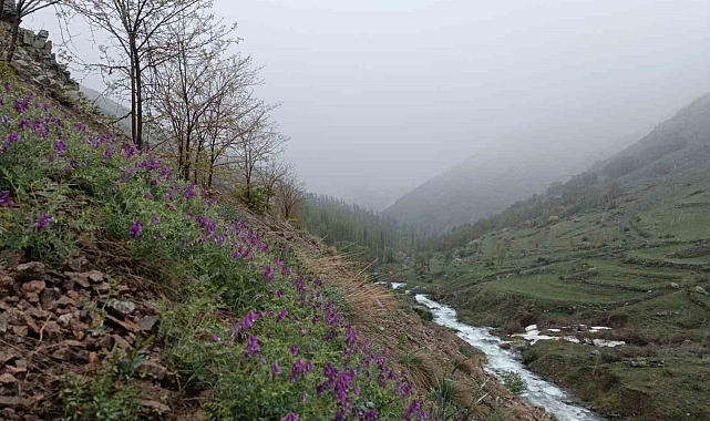 Erzurum&#039;da mayıs ayında kar sürprizi