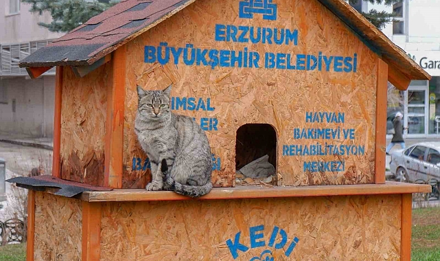 &quot;Erzurum&#039;daki her can bize emanet&quot;