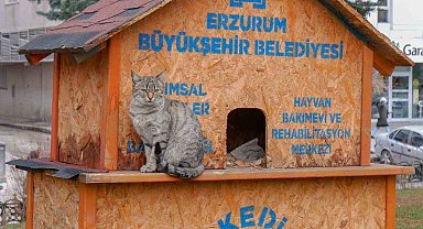 "Erzurum'daki her can bize emanet"