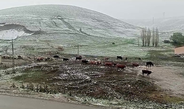 Erzurum&#039;un Tekman ilçesinde, kar yağışı etkili oldu