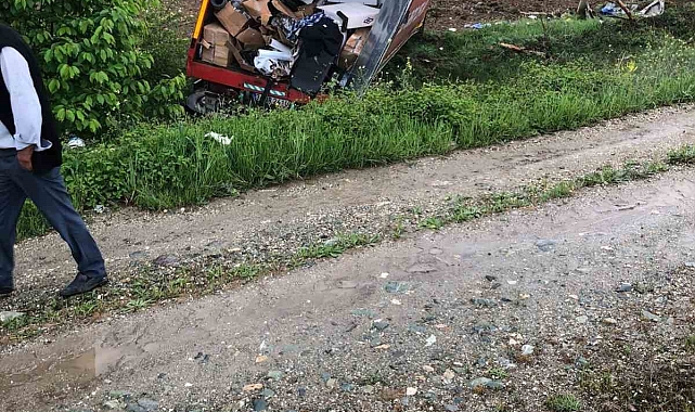 Ev eşyası taşıyan kamyon tarlaya uçtu