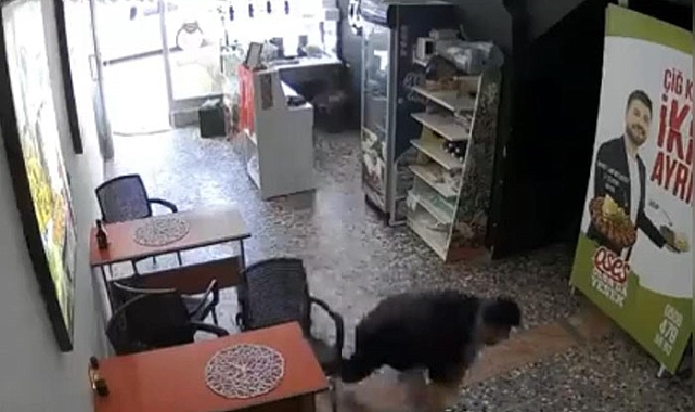 F-16 sesiyle deprem korkusuna kapılan esnafın emekleyerek kaçmaya çalıştığı anlar kamerada