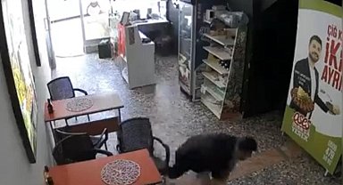 F-16 sesiyle deprem korkusuna kapılan esnafın emekleyerek kaçmaya çalıştığı anlar kamerada