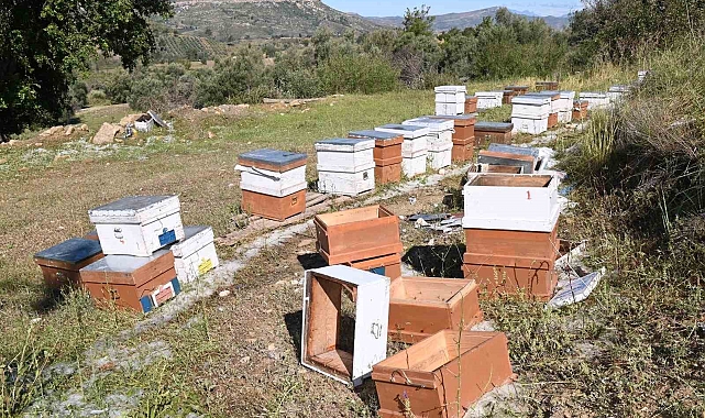 Fırtına ve dolu tarım alanlarını vurdu