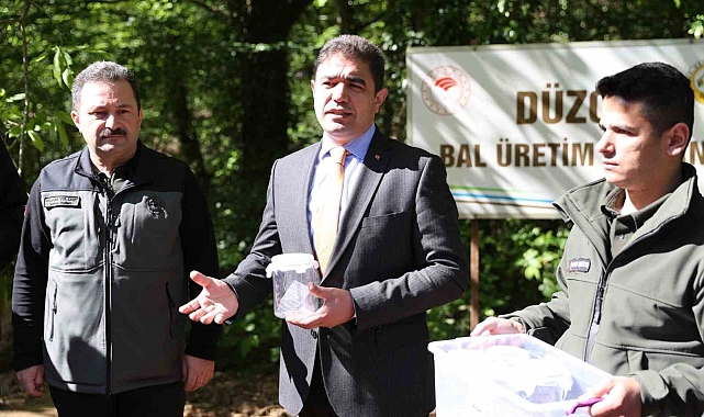 Gal Arısıyla mücadele için savaçı böcekler doğaya salındı