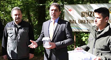 Gal Arısıyla mücadele için savaçı böcekler doğaya salındı