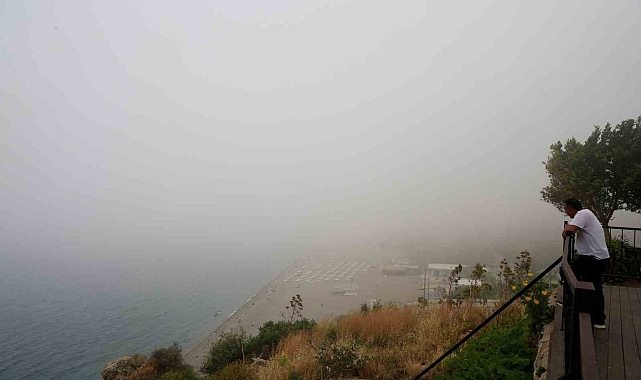 Görüntüyü Gören Cep Telefonuna Sarıldı