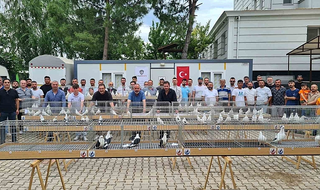 Güvercinler, birincilik için yarıştı