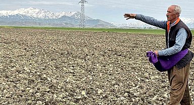 Havaların ısınmasıyla çiftçilerin ekim mesaisi  başladı