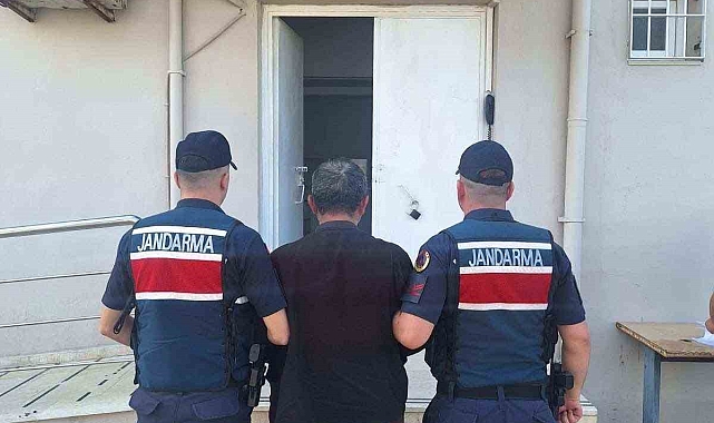 Hayvan hırsızı, jandarmanın operasyonuyla yakalandı