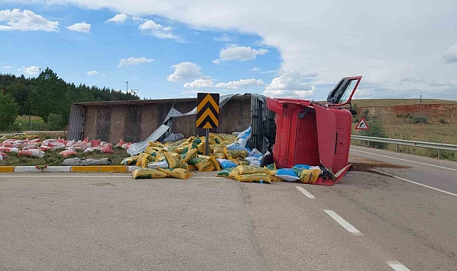 Hayvan Yemi Yüklü Tır Devrildi