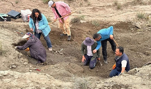Iğdır’da dev gergedan fosili