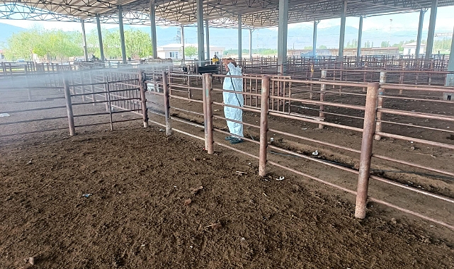 Iğdır’da hayvan pazarı ilaçlandı