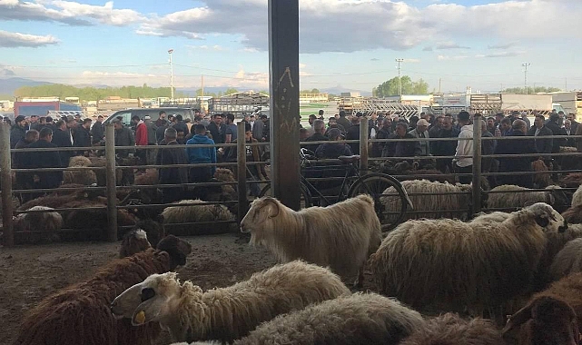 Iğdır’da hayvan pazarlarında hareketlilik başladı