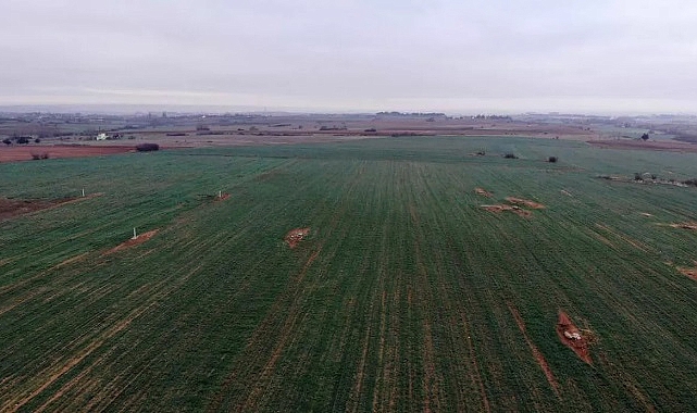 Iğdır’da yağan yağmur çiftçilerin yüzünü güldürdü