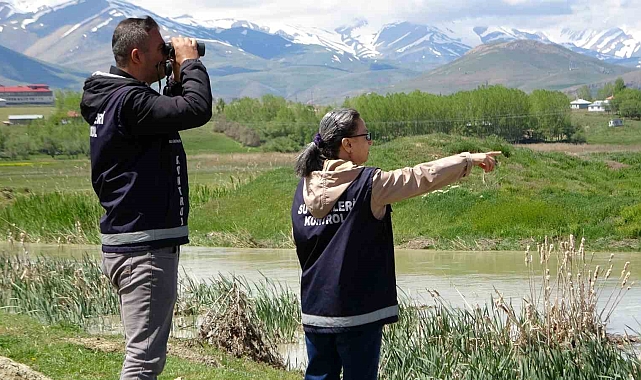 İnci kefalini, kaçak avcılara karşı korumak için yoğun mesai