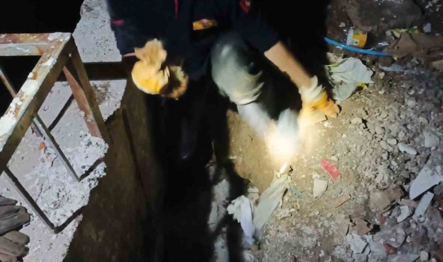 İstinat duvarı arasına sıkışan kedi 2 saatlik çalışmayla kurtarıldı