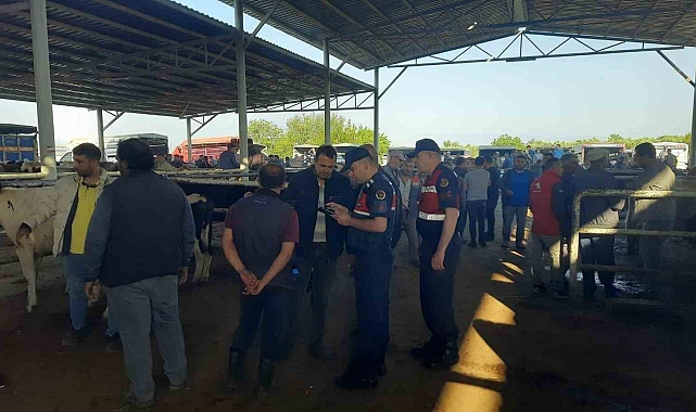 Jandarma, Kurban Bayramı öncesinde hayvan hırsızlarına dikkat çekti