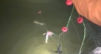 Kaçak avlanan 200 kilo canlı balık yeniden suya bırakıldı