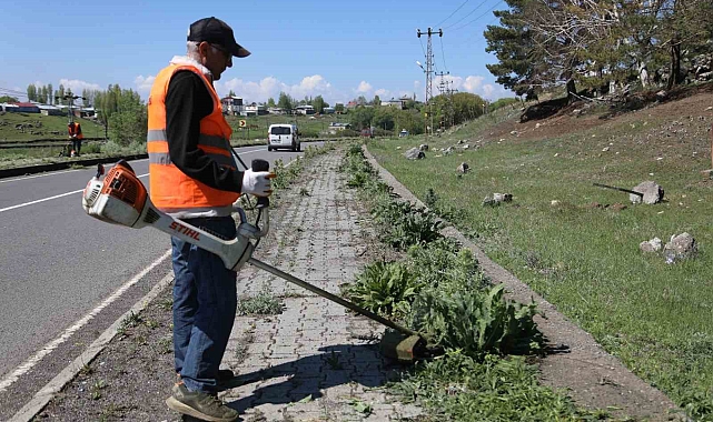 Kaldırımlar yabani otlardan temizleniyor