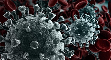 Kanser ölüm oranları sıralaması açıklandı... Iğdır kaçıncı sırada?