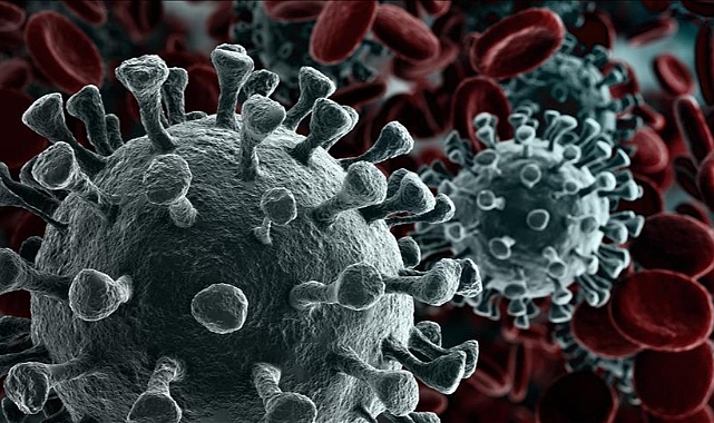 Kanser ölüm oranları sıralaması açıklandı... Iğdır kaçıncı sırada?