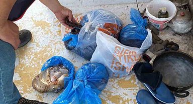 Kanuna aykırı avlananlar denetime takıldı