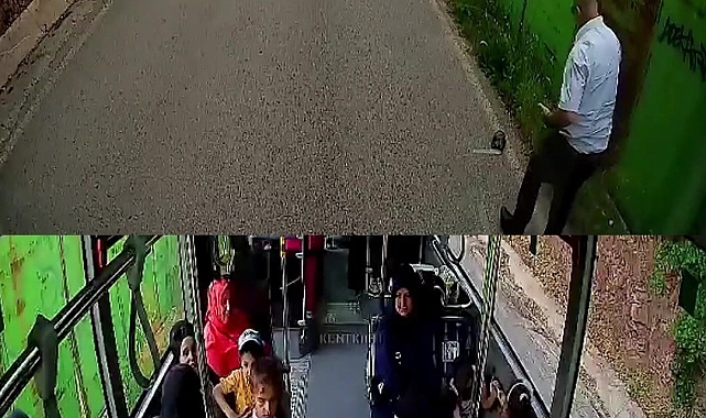 Kaplumbağayı ezilmekten kurtaran otobüs şoförünün hareketi takdir topladı