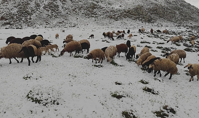 Kar yağışı, besicilere zor anlar yaşattı