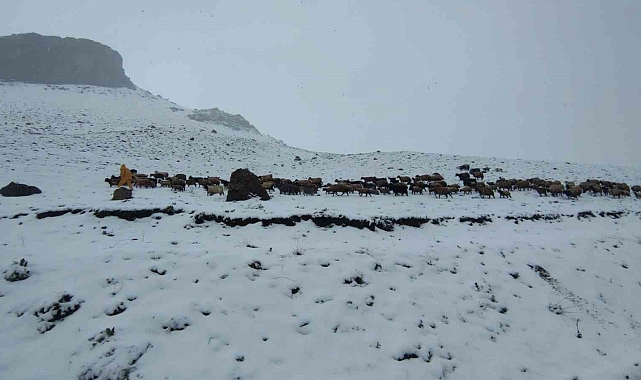 Kar&#039;a yakalanan sürü, çobanlar tarafından ağlıllara götürülmek zorunda kaldı
