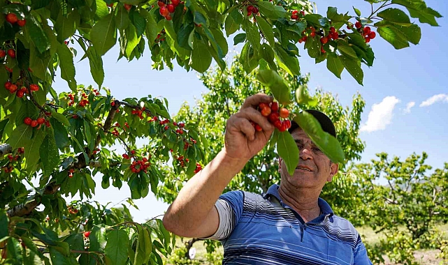 &quot;Kararında deprem etkili oldu&quot;