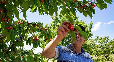 "Kararında deprem etkili oldu"