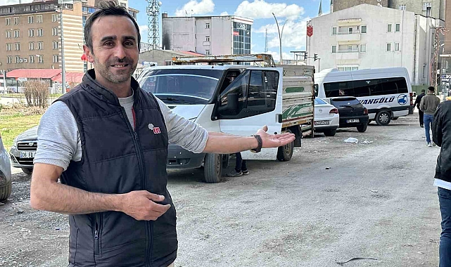 Kavak ağaçlarından çevreye yayılan polenler hayatı olumsuz etkiledi