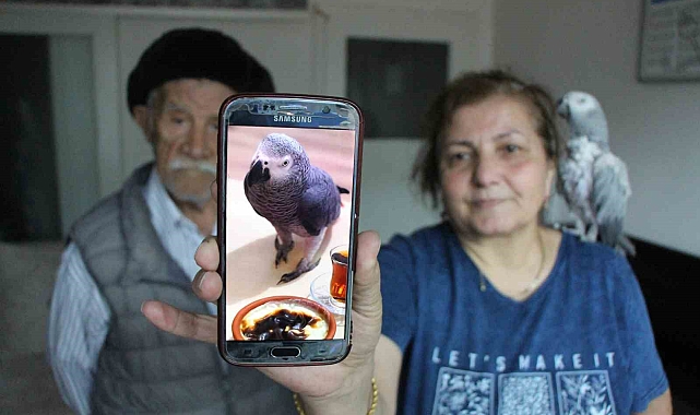 Kayıp papağan &#039;Can&#039; için her gün ağlıyorlar