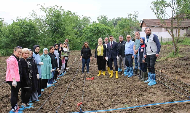 Kaymakamı, öğrencilerle birlikte, tıbbi ve aromatik özelliği olan fidelerin dikimini yaptı