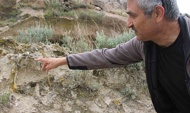 Kayseri&#039;nin 10 milyon yıllık ormanı bulundu