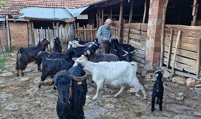 Keçilerini otlatırken şiir yazıp, türkü besteliyor