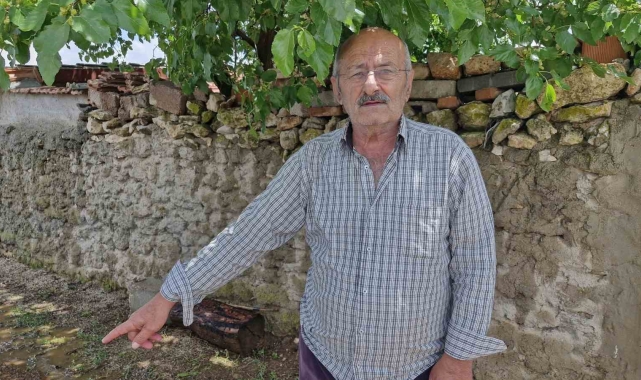 Köpek saldırısında eşini kaybetti, yaşananları unutamıyor