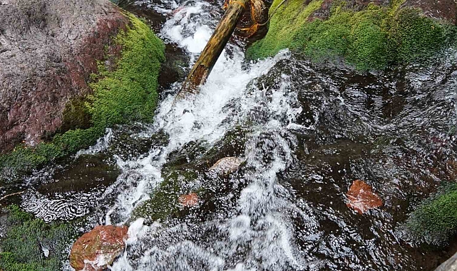 Kral Havuzu, doğal bir oksijen kaynağı olarak öne çıkıyor