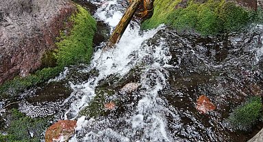 Kral Havuzu, doğal bir oksijen kaynağı olarak öne çıkıyor