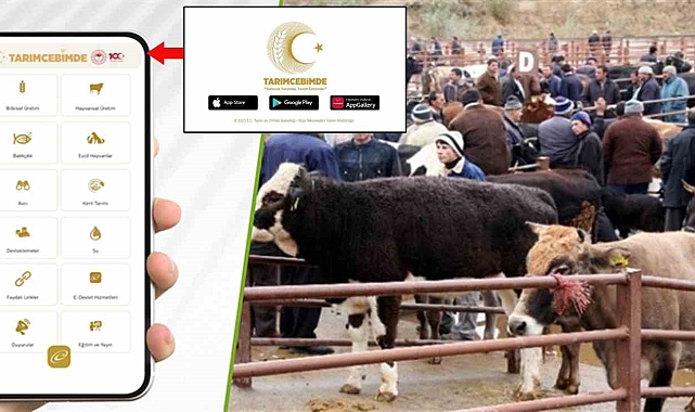 Kurbanlık hayvanlara 3 adımda sorgulama imkânı