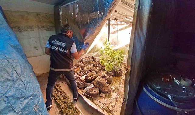 Kurdukları gizli odada kenevir yetiştiren 2 kişi tutuklandı