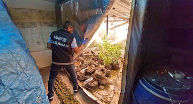 Kurdukları gizli odada kenevir yetiştiren 2 kişi tutuklandı