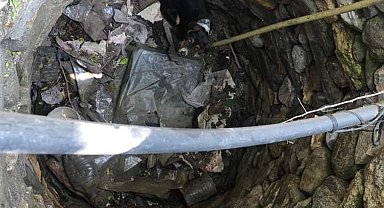 Kuyuya düşen köpeği itfaiye kurtardı