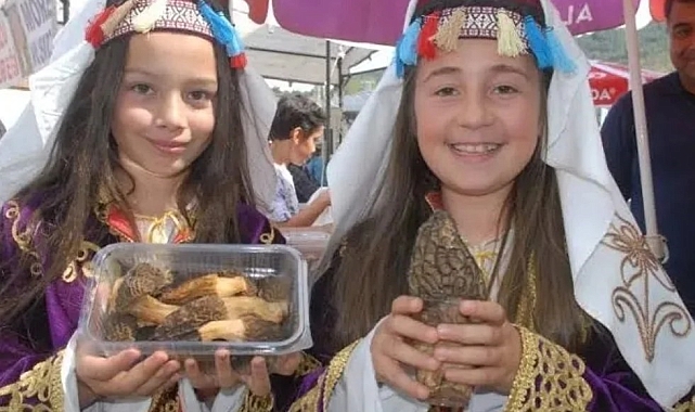 Kuzugöbeği mantarı, yapılan ihracatla Avrupa&#039;nın dört bir yanına ulaştırılıyor