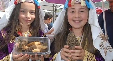 Kuzugöbeği mantarı, yapılan ihracatla Avrupa'nın dört bir yanına ulaştırılıyor