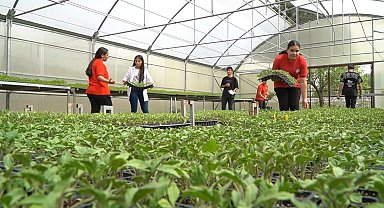 Liseli öğrencilerin, serada yetiştirdiği sebzeler sofrada