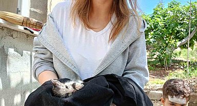 Mahsur kalan yavru kedileri itfaiye kurtardı